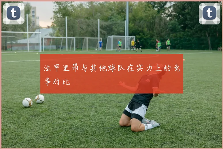 法甲里昂与其他球队在实力上的竞争对比