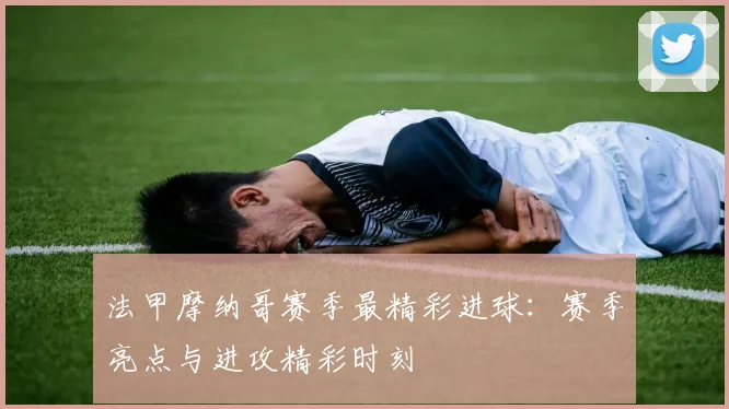 法甲摩纳哥赛季最精彩进球：赛季亮点与进攻精彩时刻