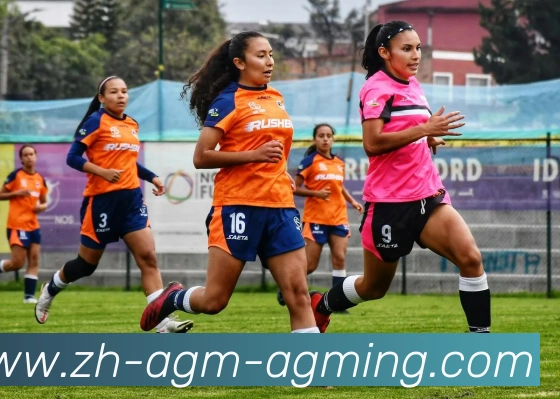 AG娱乐登录平台生态图